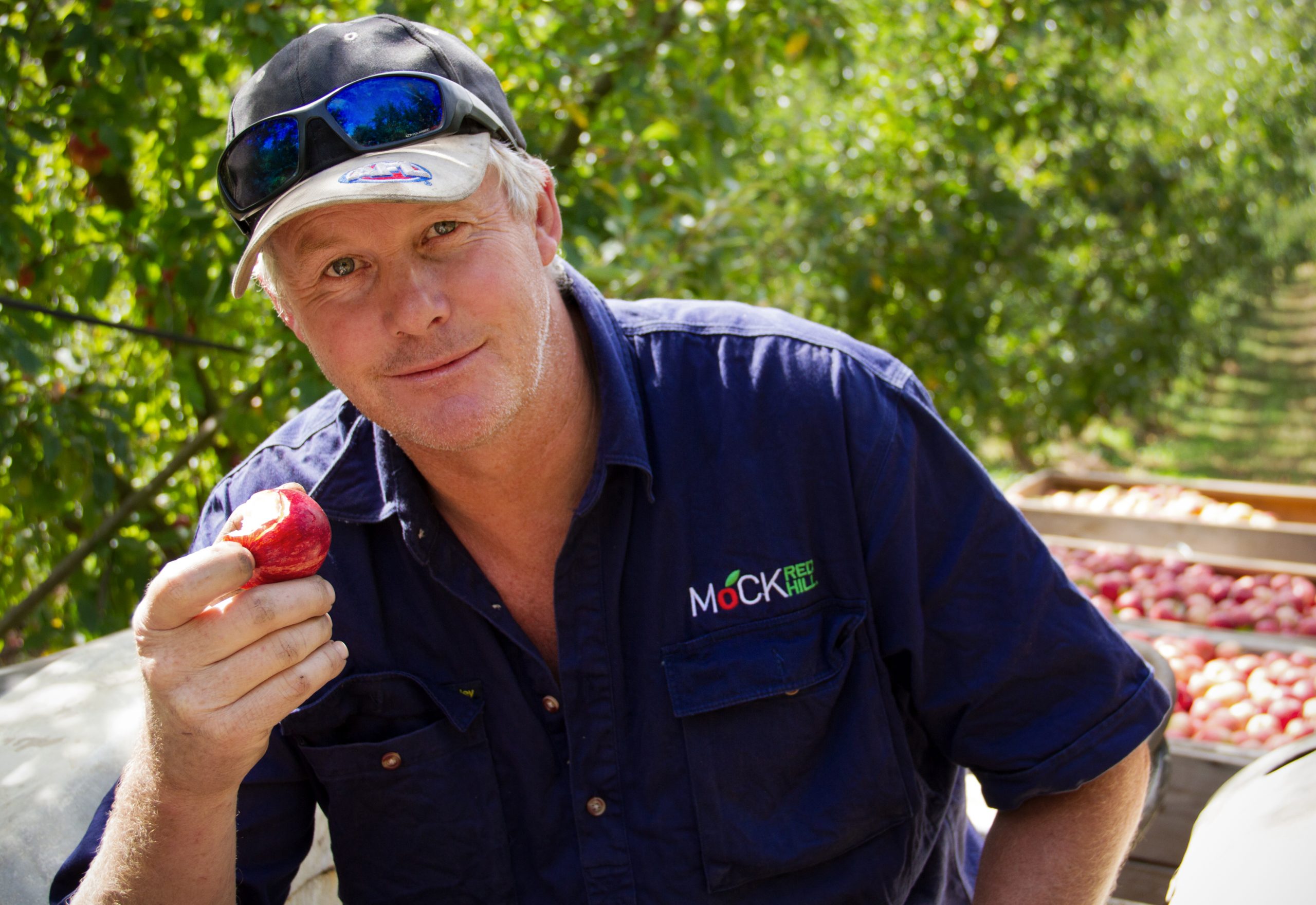Farmhand holding apple