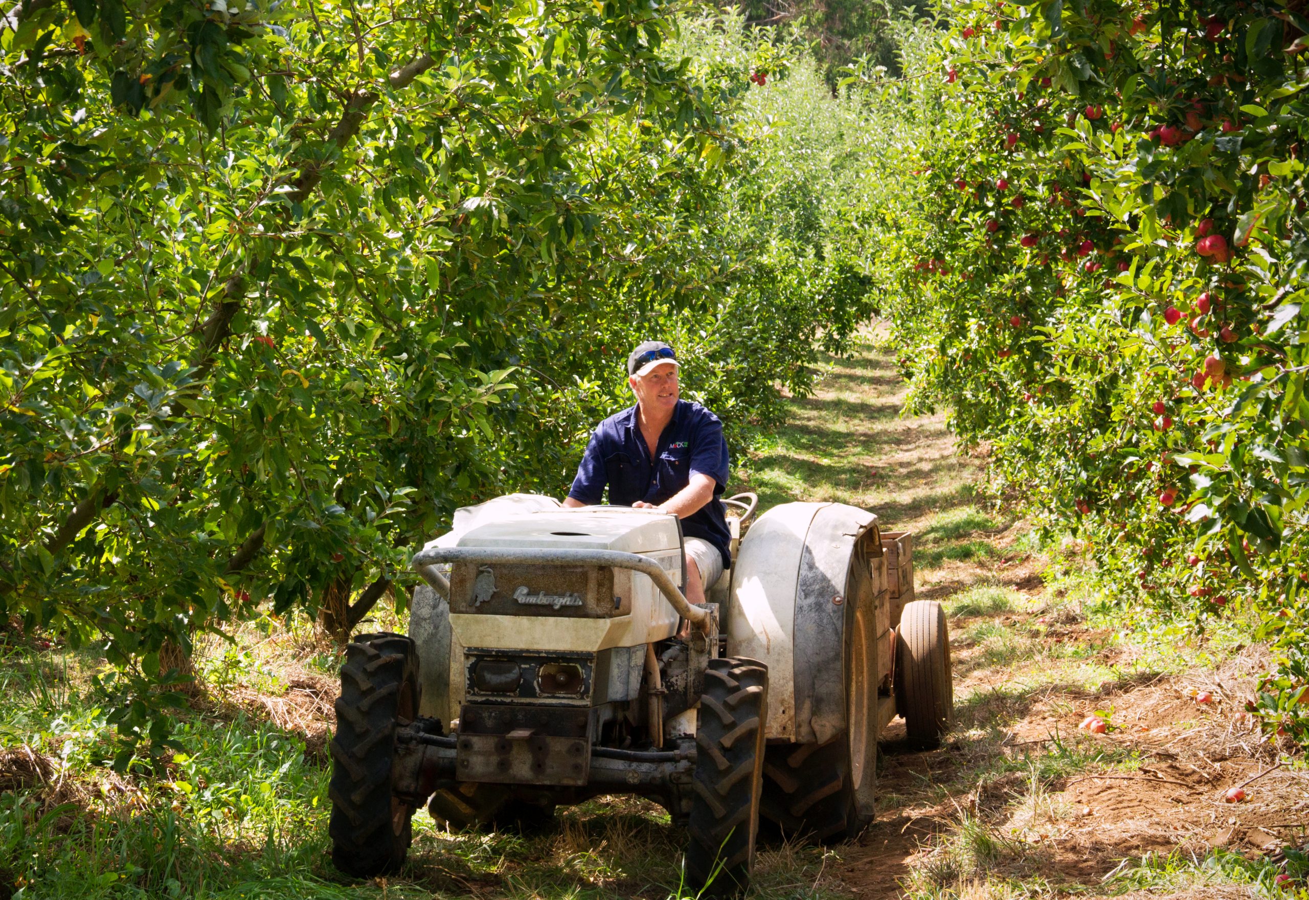 Farmhand on Tractor