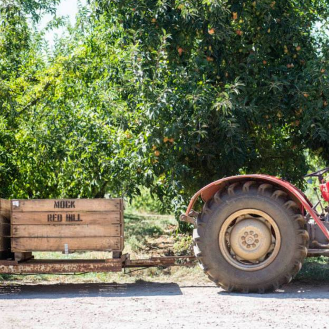 Tracket and crate