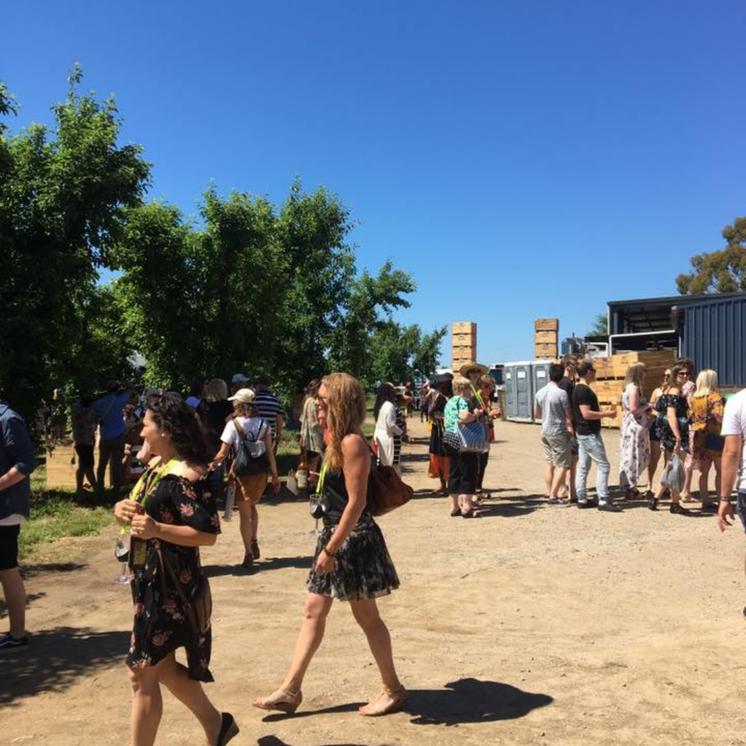 People at a wine and cider festival